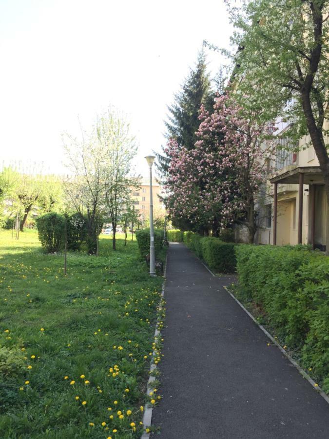 Gold Apartments Baia Mare Exterior photo